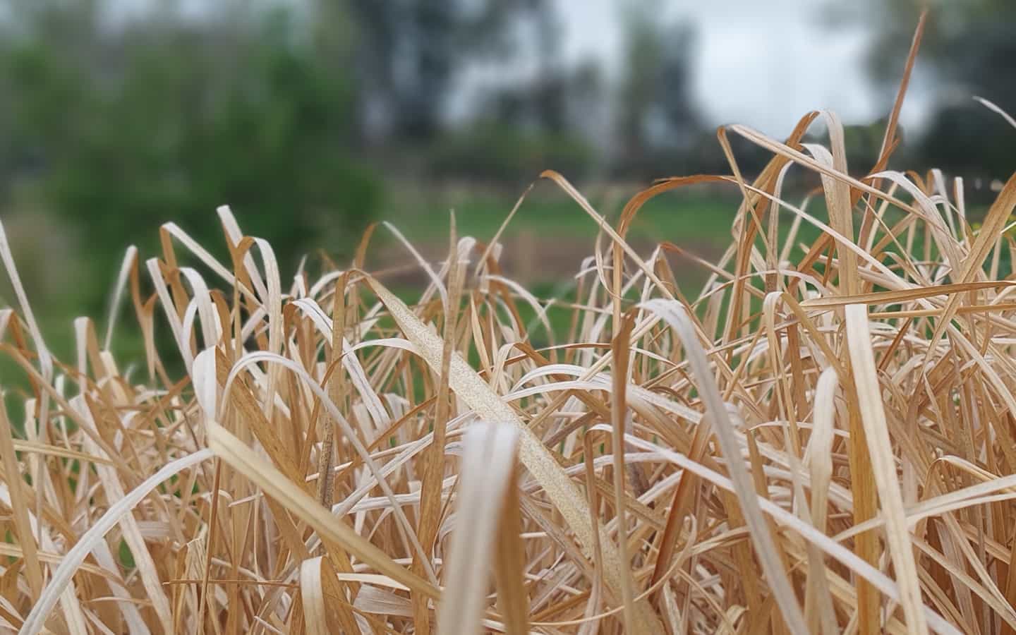 foto del entorno granja
